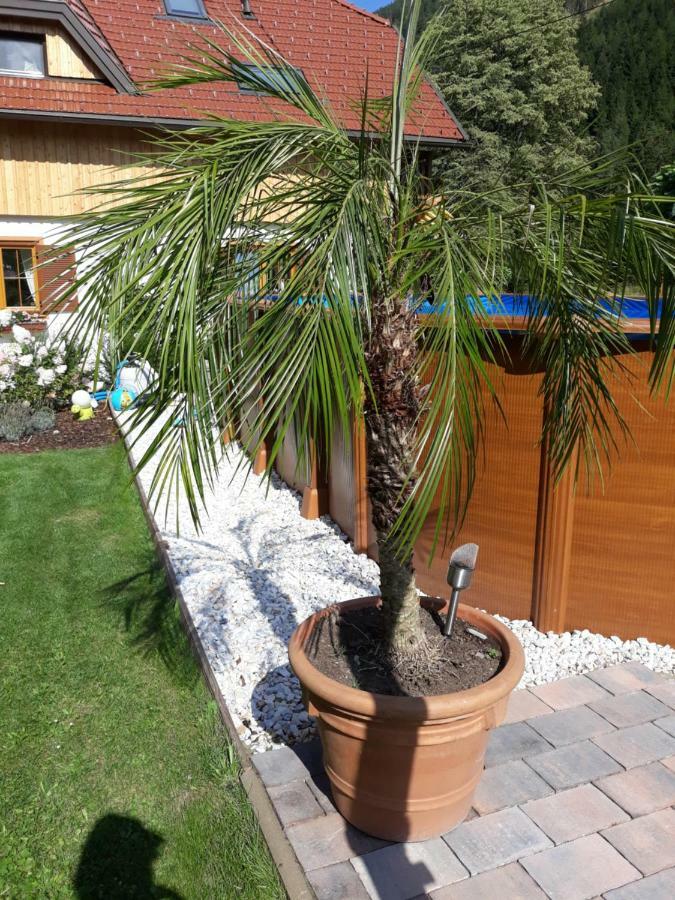 Apartamento Haus Steinthaler Stockenboi Exterior foto